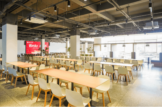 2024 20 24 洛阳 科技 职业学院 职业 学院 招生 指南