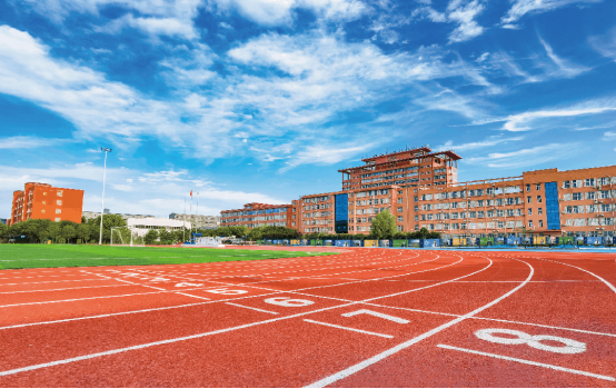 2024 20 24 洛阳 科技 职业学院 职业 学院 招生 指南