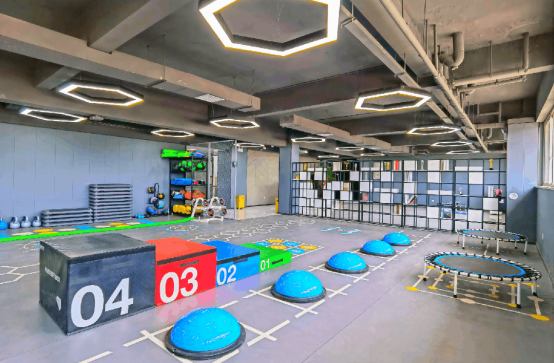 2024 20 24 洛阳 科技 职业学院 职业 学院 招生 指南