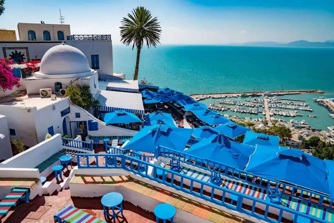 说明: 图片 说明: 图片