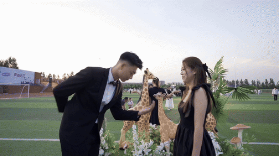 2024 20 24 洛阳 科技 职业学院 职业 学院 招生 指南