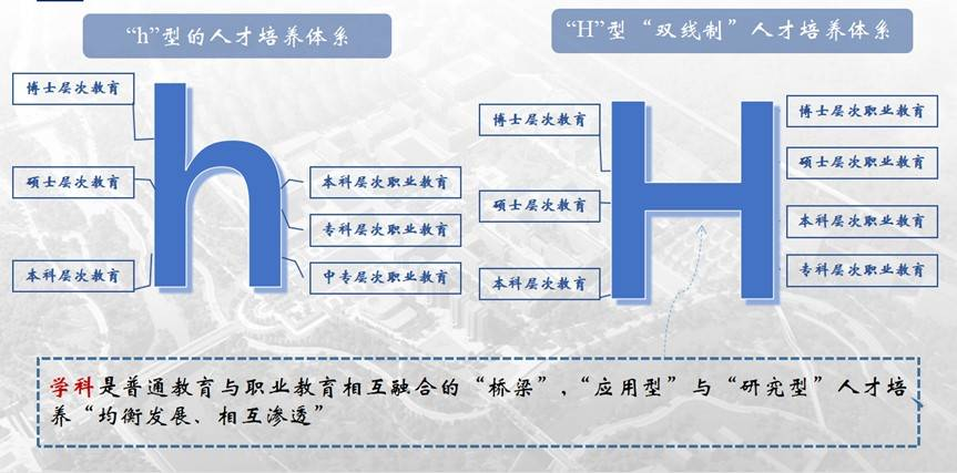 央视CCTV专访洛阳科技职业学院校长刘丽彬 央视CCTV专访洛阳科技职业学院校长刘丽彬