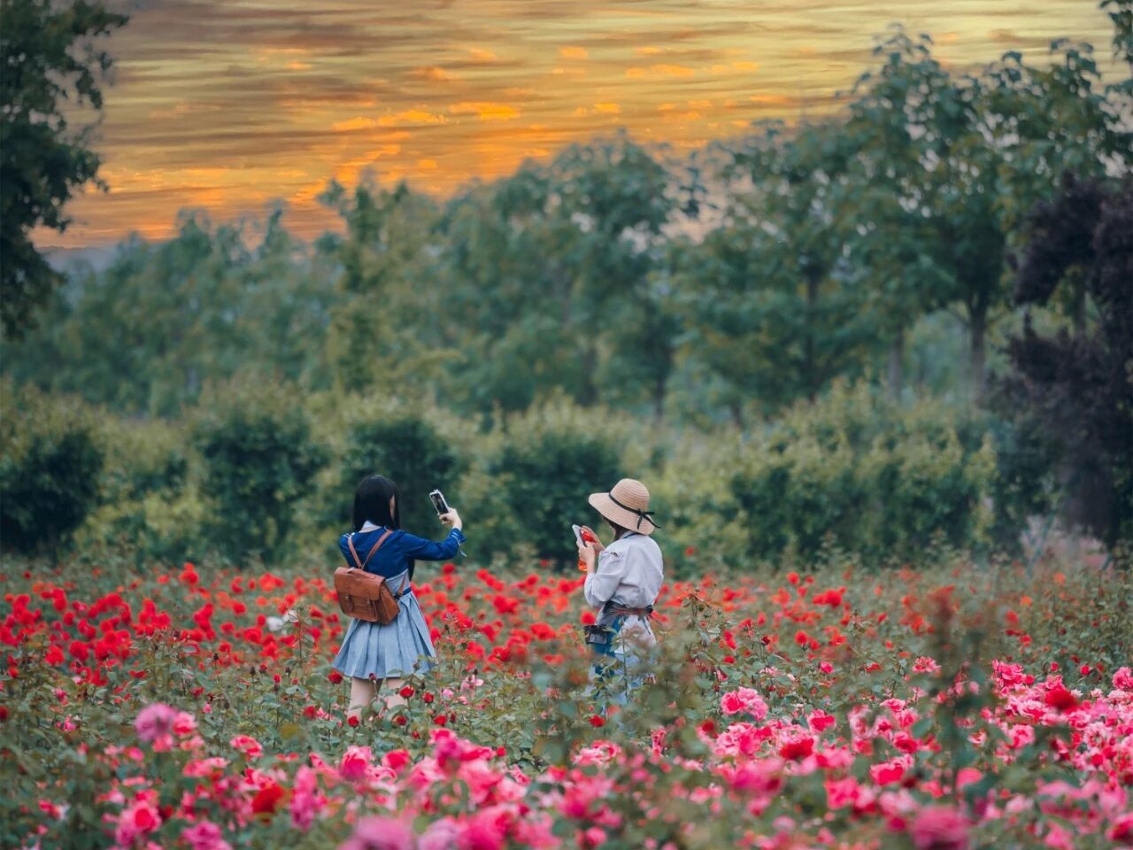 藏不住了！洛阳科技职业学院，超棒环境等你来！