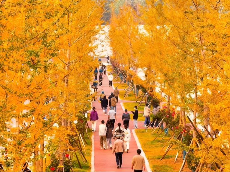 现在的洛阳科技职业学院是这样的......