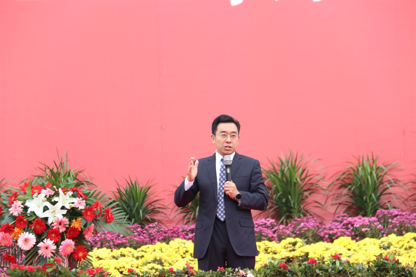 图片15.JPG