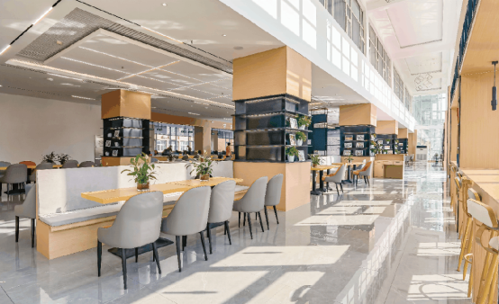 2024 20 24 洛阳 科技 职业学院 职业 学院 招生 指南